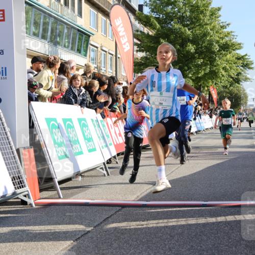 15.09.2024 - PSD Bank Halbmarathon Strokosch-Dieckow http://msf.ph/oto/7067386 15.09.2024 10:27:15 Ziel 18, 42, 69, 75, 82, 167, 198, 210, 270, 284, 294 meine-sportfotos.de