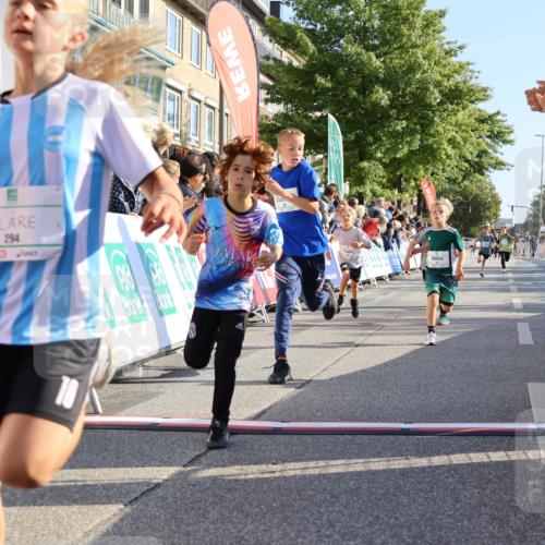 15.09.2024 - PSD Bank Halbmarathon Strokosch-Dieckow http://msf.ph/oto/7067407 15.09.2024 10:27:16 Ziel 18, 42, 69, 75, 82, 167, 198, 210, 270, 284, 294 meine-sportfotos.de