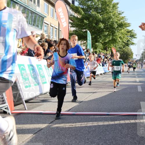 15.09.2024 - PSD Bank Halbmarathon Strokosch-Dieckow http://msf.ph/oto/7067421 15.09.2024 10:27:16 Ziel 18, 42, 69, 75, 82, 167, 198, 210, 270, 284, 294 meine-sportfotos.de