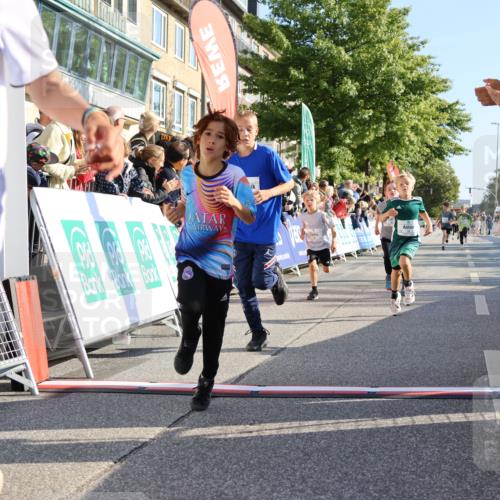 15.09.2024 - PSD Bank Halbmarathon Strokosch-Dieckow http://msf.ph/oto/7067436 15.09.2024 10:27:16 Ziel 18, 42, 69, 75, 82, 167, 198, 210, 270, 284, 294 meine-sportfotos.de