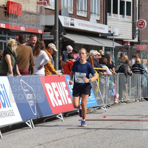 15.09.2024 - PSD Bank Halbmarathon Michael Strokosch http://msf.ph/oto/7067463 15.09.2024 12:02:23 Ziel 1310, 1551, 1963, 2026, 2180, 2200, 2245, 2754, 2800, 3172, 3369, 3522 meine-sportfotos.de