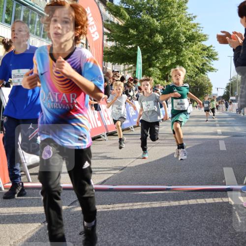 15.09.2024 - PSD Bank Halbmarathon Strokosch-Dieckow http://msf.ph/oto/7067471 15.09.2024 10:27:17 Ziel 18, 42, 69, 75, 82, 167, 198, 210, 270, 294 meine-sportfotos.de