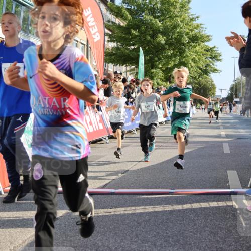 15.09.2024 - PSD Bank Halbmarathon Strokosch-Dieckow http://msf.ph/oto/7067483 15.09.2024 10:27:17 Ziel 18, 42, 69, 75, 82, 167, 198, 210, 270, 294 meine-sportfotos.de