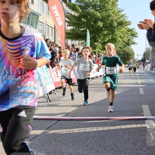 15.09.2024 - PSD Bank Halbmarathon Strokosch-Dieckow http://msf.ph/oto/7067520 15.09.2024 10:27:17 Ziel 18, 42, 69, 75, 82, 167, 198, 210, 270, 294 meine-sportfotos.de