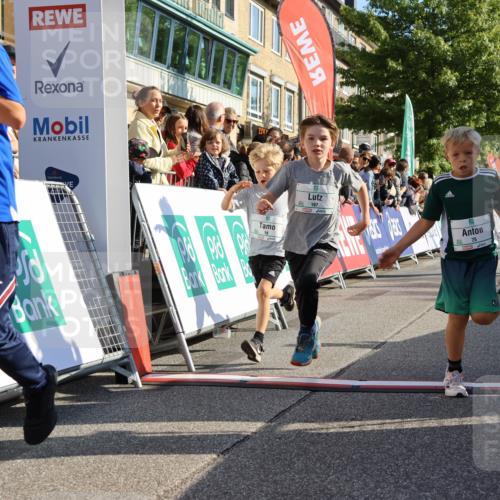 15.09.2024 - PSD Bank Halbmarathon Strokosch-Dieckow http://msf.ph/oto/7067545 15.09.2024 10:27:17 Ziel 18, 42, 69, 75, 82, 167, 198, 210, 270, 294 meine-sportfotos.de