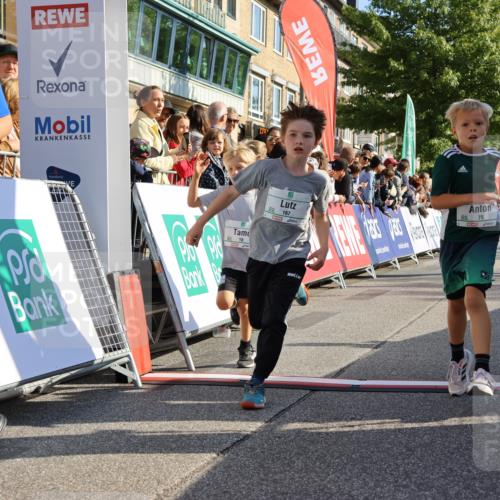 15.09.2024 - PSD Bank Halbmarathon Strokosch-Dieckow http://msf.ph/oto/7067568 15.09.2024 10:27:17 Ziel 18, 42, 69, 75, 82, 167, 198, 210, 270, 294 meine-sportfotos.de