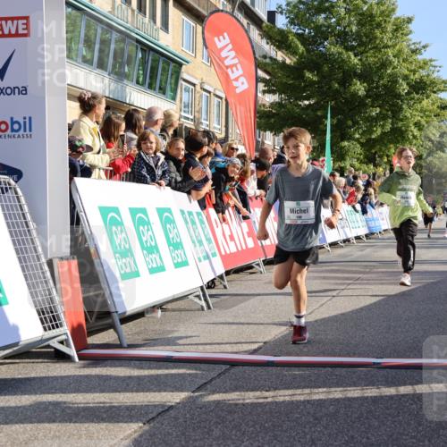 15.09.2024 - PSD Bank Halbmarathon Strokosch-Dieckow http://msf.ph/oto/7067581 15.09.2024 10:27:22 Ziel 18, 42, 75, 82, 87, 136, 167, 198, 210, 270, 294 meine-sportfotos.de