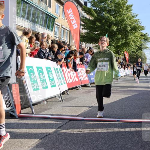 15.09.2024 - PSD Bank Halbmarathon Strokosch-Dieckow http://msf.ph/oto/7067633 15.09.2024 10:27:23 Ziel 18, 42, 75, 82, 87, 136, 139, 167, 198, 210, 270, 294 meine-sportfotos.de