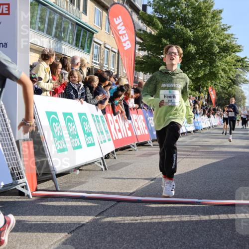 15.09.2024 - PSD Bank Halbmarathon Strokosch-Dieckow http://msf.ph/oto/7067655 15.09.2024 10:27:23 Ziel 18, 42, 75, 82, 87, 136, 139, 167, 198, 210, 270, 294 meine-sportfotos.de