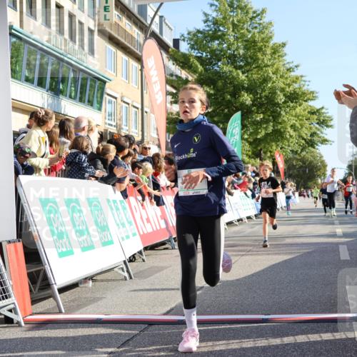 15.09.2024 - PSD Bank Halbmarathon Strokosch-Dieckow http://msf.ph/oto/7067689 15.09.2024 10:27:27 Ziel 18, 48, 75, 82, 87, 136, 139, 167, 198, 210, 219, 268, 270, 272, 294 meine-sportfotos.de