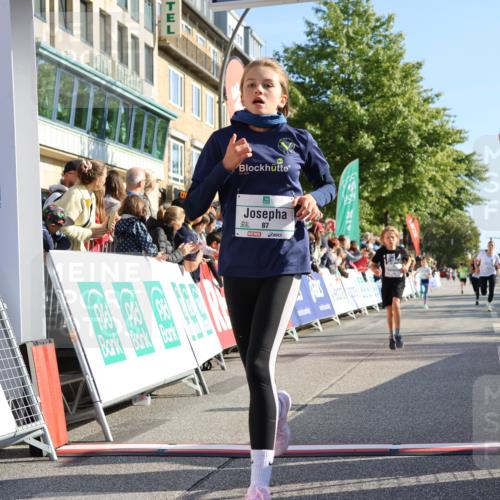 15.09.2024 - PSD Bank Halbmarathon Strokosch-Dieckow http://msf.ph/oto/7067725 15.09.2024 10:27:27 Ziel 18, 48, 75, 82, 87, 136, 139, 167, 198, 210, 219, 268, 270, 272, 294 meine-sportfotos.de