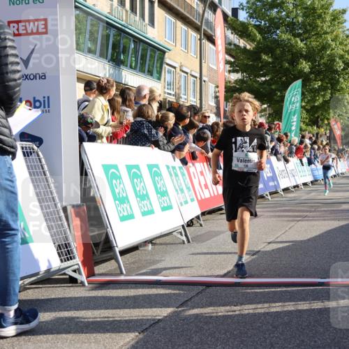 15.09.2024 - PSD Bank Halbmarathon Strokosch-Dieckow http://msf.ph/oto/7067736 15.09.2024 10:27:29 Ziel 18, 48, 75, 87, 136, 139, 167, 198, 210, 219, 268, 272 meine-sportfotos.de