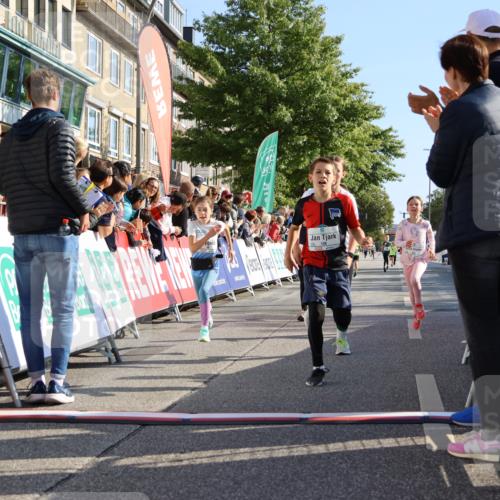 15.09.2024 - PSD Bank Halbmarathon Strokosch-Dieckow http://msf.ph/oto/7067782 15.09.2024 10:27:31 Ziel 48, 87, 136, 139, 198, 210, 219, 233, 268, 272 meine-sportfotos.de