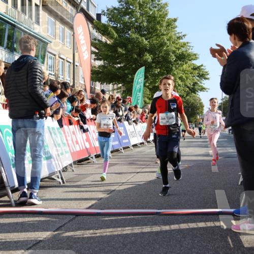 15.09.2024 - PSD Bank Halbmarathon Strokosch-Dieckow http://msf.ph/oto/7067794 15.09.2024 10:27:31 Ziel 48, 87, 136, 139, 198, 210, 219, 233, 268, 272 meine-sportfotos.de