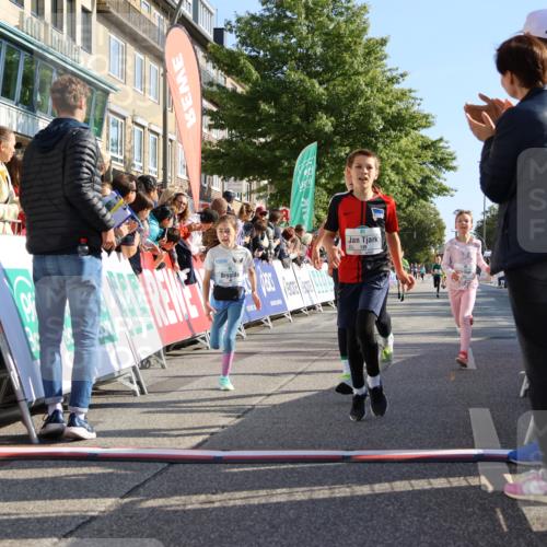 15.09.2024 - PSD Bank Halbmarathon Strokosch-Dieckow http://msf.ph/oto/7067805 15.09.2024 10:27:31 Ziel 48, 87, 136, 139, 198, 210, 219, 233, 268, 272 meine-sportfotos.de