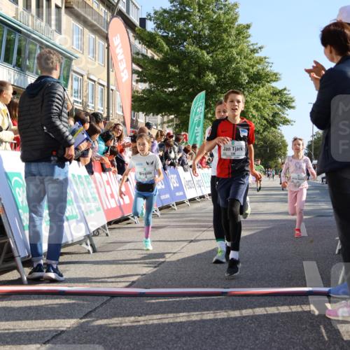 15.09.2024 - PSD Bank Halbmarathon Strokosch-Dieckow http://msf.ph/oto/7067815 15.09.2024 10:27:32 Ziel 48, 87, 136, 139, 174, 198, 210, 219, 233, 268, 272 meine-sportfotos.de