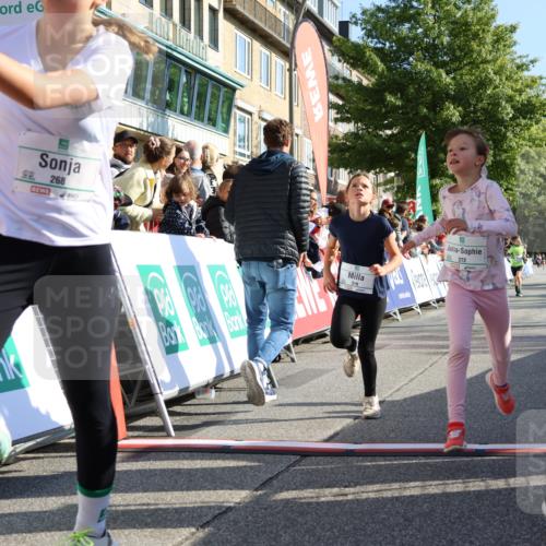 15.09.2024 - PSD Bank Halbmarathon Strokosch-Dieckow http://msf.ph/oto/7067855 15.09.2024 10:27:33 Ziel 48, 87, 136, 139, 174, 198, 210, 219, 233, 268, 272 meine-sportfotos.de