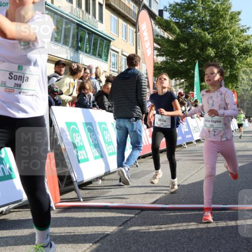 15.09.2024 - PSD Bank Halbmarathon Strokosch-Dieckow http://msf.ph/oto/7067865 15.09.2024 10:27:33 Ziel 48, 87, 136, 139, 174, 198, 210, 219, 233, 268, 272 meine-sportfotos.de