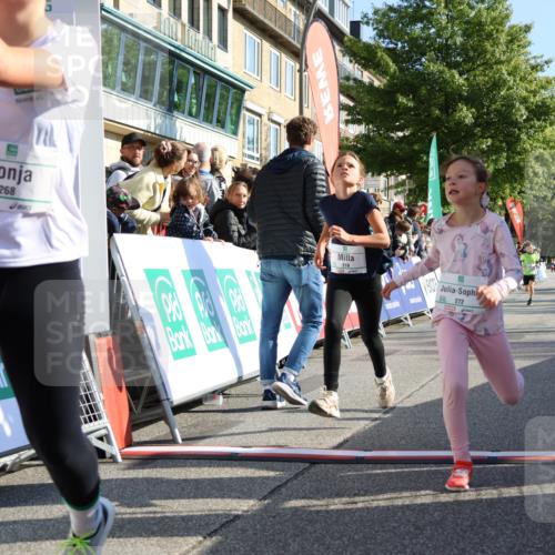 15.09.2024 - PSD Bank Halbmarathon Strokosch-Dieckow http://msf.ph/oto/7067877 15.09.2024 10:27:33 Ziel 48, 87, 136, 139, 174, 198, 210, 219, 233, 268, 272 meine-sportfotos.de