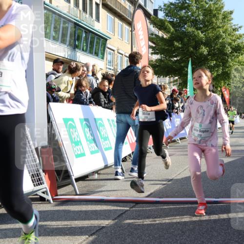 15.09.2024 - PSD Bank Halbmarathon Strokosch-Dieckow http://msf.ph/oto/7067889 15.09.2024 10:27:33 Ziel 48, 87, 136, 139, 174, 198, 210, 219, 233, 268, 272 meine-sportfotos.de
