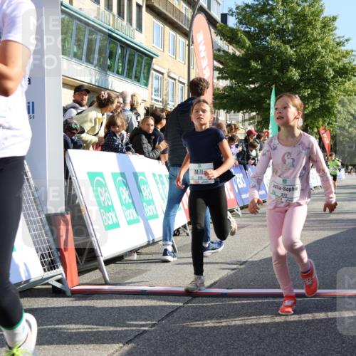 15.09.2024 - PSD Bank Halbmarathon Strokosch-Dieckow http://msf.ph/oto/7067902 15.09.2024 10:27:33 Ziel 48, 87, 136, 139, 174, 198, 210, 219, 233, 268, 272 meine-sportfotos.de