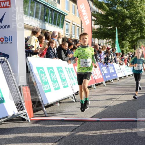 15.09.2024 - PSD Bank Halbmarathon Strokosch-Dieckow http://msf.ph/oto/7067957 15.09.2024 10:27:39 Ziel 8, 48, 122, 136, 139, 159, 174, 219, 233, 268, 272 meine-sportfotos.de