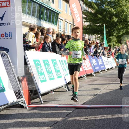 15.09.2024 - PSD Bank Halbmarathon Strokosch-Dieckow http://msf.ph/oto/7067971 15.09.2024 10:27:39 Ziel 8, 48, 122, 136, 139, 159, 174, 219, 233, 268, 272 meine-sportfotos.de