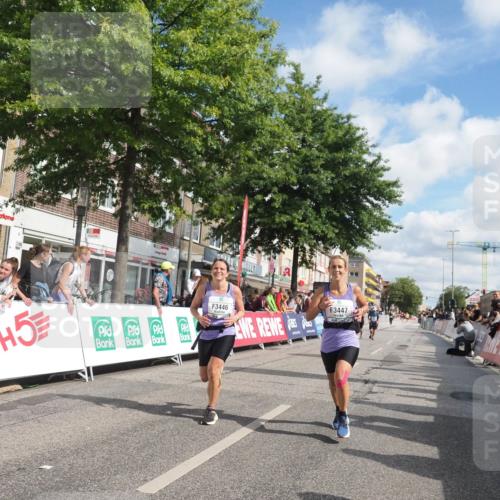 15.09.2024 - PSD Bank Halbmarathon Miley Keyser http://msf.ph/oto/7067978 15.09.2024 12:19:11 Ziel 1728, 1729, 1828, 2149, 2412, 2821, 3103, 3106, 3258, 3419, 3446, 3447, 3500, 3561 meine-sportfotos.de