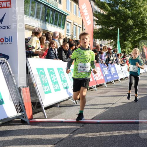 15.09.2024 - PSD Bank Halbmarathon Strokosch-Dieckow http://msf.ph/oto/7068000 15.09.2024 10:27:39 Ziel 8, 48, 122, 136, 139, 159, 174, 219, 233, 268, 272 meine-sportfotos.de