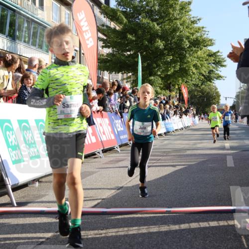 15.09.2024 - PSD Bank Halbmarathon Strokosch-Dieckow http://msf.ph/oto/7068035 15.09.2024 10:27:40 Ziel 8, 48, 122, 136, 139, 159, 174, 219, 233, 268, 272 meine-sportfotos.de