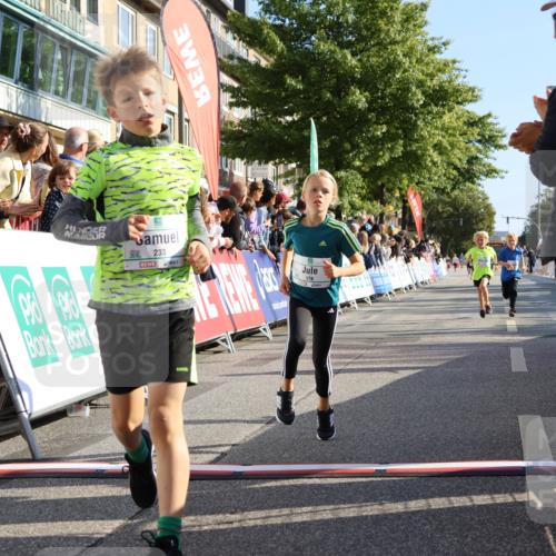 15.09.2024 - PSD Bank Halbmarathon Strokosch-Dieckow http://msf.ph/oto/7068050 15.09.2024 10:27:40 Ziel 8, 48, 122, 136, 139, 159, 174, 219, 233, 268, 272 meine-sportfotos.de