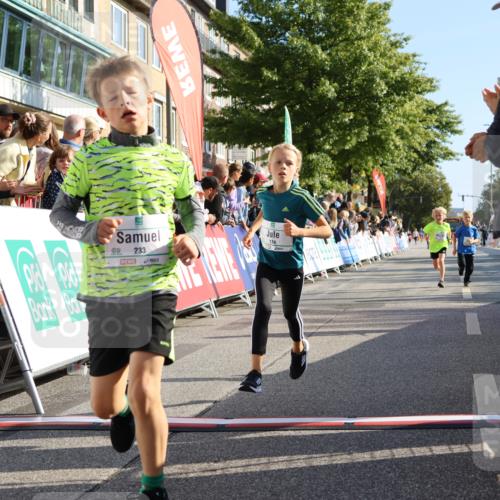 15.09.2024 - PSD Bank Halbmarathon Strokosch-Dieckow http://msf.ph/oto/7068066 15.09.2024 10:27:40 Ziel 8, 48, 122, 136, 139, 159, 174, 219, 233, 268, 272 meine-sportfotos.de