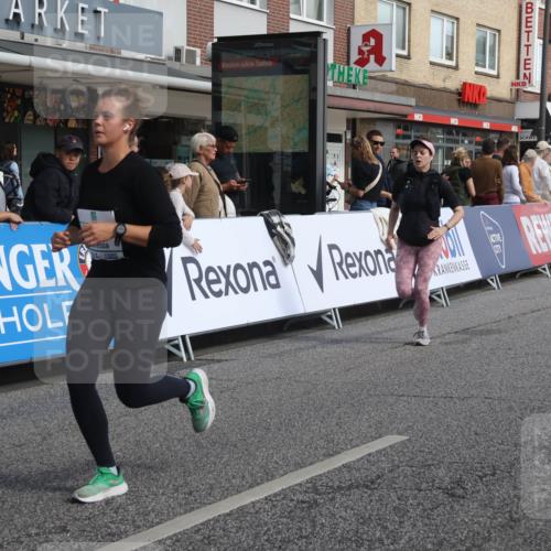 15.09.2024 - PSD Bank Halbmarathon Michael Strokosch http://msf.ph/oto/7068088 15.09.2024 12:04:16 Ziel 2399, 3027, 3194 meine-sportfotos.de