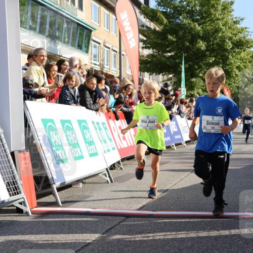 15.09.2024 - PSD Bank Halbmarathon Strokosch-Dieckow http://msf.ph/oto/7068091 15.09.2024 10:27:43 Ziel 8, 48, 122, 139, 159, 174, 204, 219, 233, 268, 272 meine-sportfotos.de