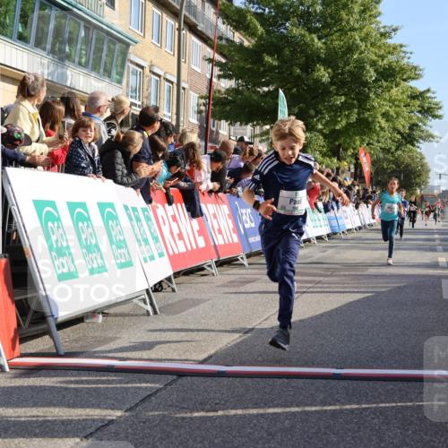 15.09.2024 - PSD Bank Halbmarathon Strokosch-Dieckow http://msf.ph/oto/7068168 15.09.2024 10:27:47 Ziel 8, 101, 103, 122, 125, 159, 174, 204, 233 meine-sportfotos.de