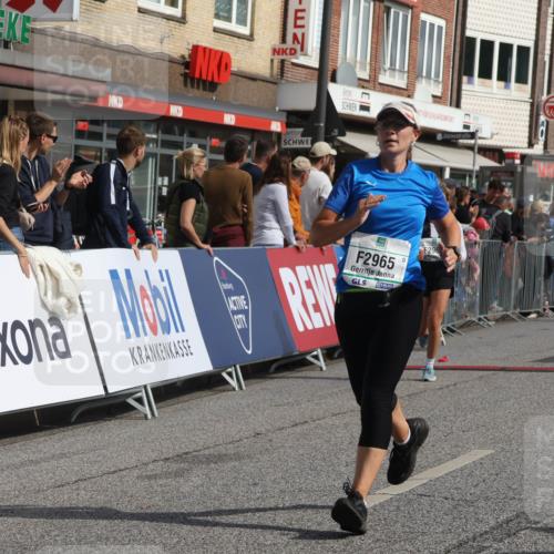15.09.2024 - PSD Bank Halbmarathon Michael Strokosch http://msf.ph/oto/7068177 15.09.2024 12:04:32 Ziel 1938, 2134, 2399, 2708, 2871, 2960, 2965, 3004 meine-sportfotos.de