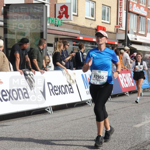 15.09.2024 - PSD Bank Halbmarathon Michael Strokosch http://msf.ph/oto/7068186 15.09.2024 12:04:32 Ziel 1938, 2134, 2399, 2708, 2871, 2960, 2965, 3004 meine-sportfotos.de