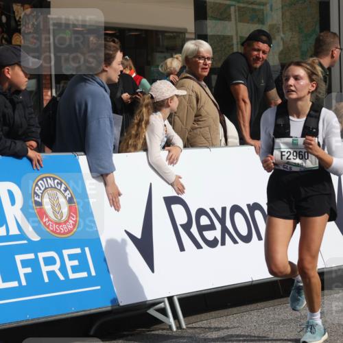 15.09.2024 - PSD Bank Halbmarathon Michael Strokosch http://msf.ph/oto/7068196 15.09.2024 12:04:34 Ziel 1938, 2134, 2399, 2708, 2871, 2960, 2965, 3004 meine-sportfotos.de