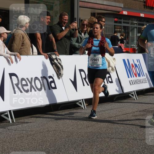 15.09.2024 - PSD Bank Halbmarathon Michael Strokosch http://msf.ph/oto/7068276 15.09.2024 12:04:51 Ziel 1456, 2346, 2708, 2881, 2901, 3122, 3133 meine-sportfotos.de