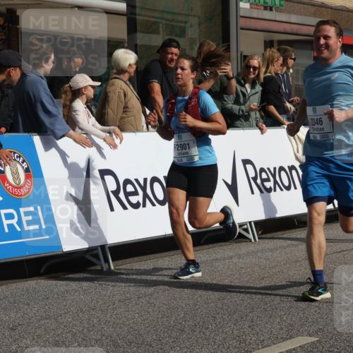 15.09.2024 - PSD Bank Halbmarathon Michael Strokosch http://msf.ph/oto/7068280 15.09.2024 12:04:51 Ziel 1456, 2346, 2708, 2881, 2901, 3122, 3133 meine-sportfotos.de