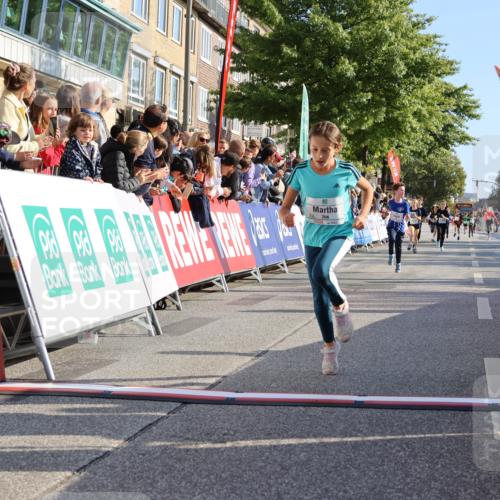 15.09.2024 - PSD Bank Halbmarathon Strokosch-Dieckow http://msf.ph/oto/7068301 15.09.2024 10:27:49 Ziel 8, 37, 101, 103, 122, 125, 159, 174, 204, 233 meine-sportfotos.de