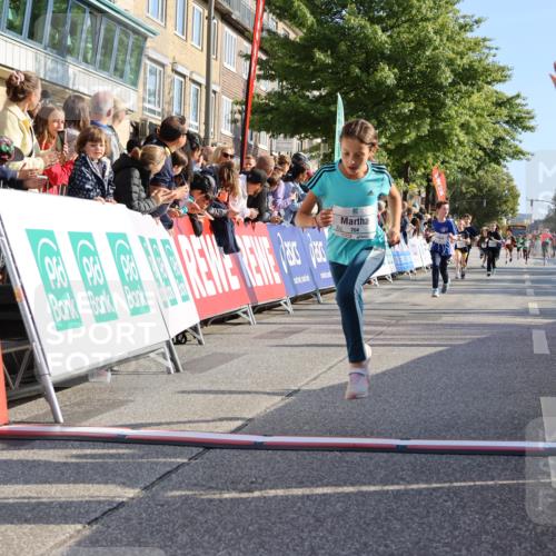 15.09.2024 - PSD Bank Halbmarathon Strokosch-Dieckow http://msf.ph/oto/7068320 15.09.2024 10:27:49 Ziel 8, 37, 101, 103, 122, 125, 159, 174, 204, 233 meine-sportfotos.de