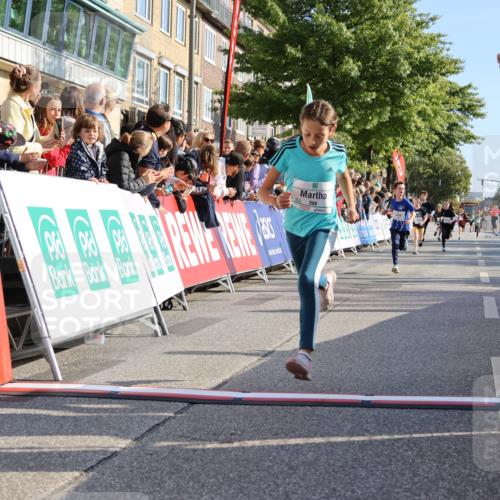 15.09.2024 - PSD Bank Halbmarathon Strokosch-Dieckow http://msf.ph/oto/7068351 15.09.2024 10:27:49 Ziel 8, 37, 101, 103, 122, 125, 159, 174, 204, 233 meine-sportfotos.de