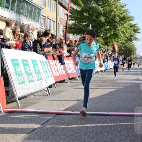 15.09.2024 - PSD Bank Halbmarathon Strokosch-Dieckow http://msf.ph/oto/7068385 15.09.2024 10:27:49 Ziel 8, 37, 101, 103, 122, 125, 159, 174, 204, 233 meine-sportfotos.de