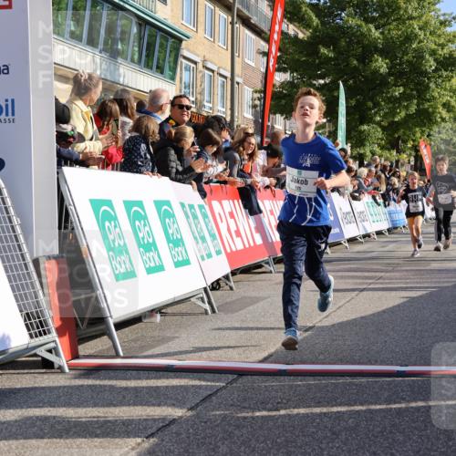 15.09.2024 - PSD Bank Halbmarathon Strokosch-Dieckow http://msf.ph/oto/7068407 15.09.2024 10:27:52 Ziel 8, 27, 28, 37, 73, 101, 103, 122, 125, 159, 174, 204, 249 meine-sportfotos.de