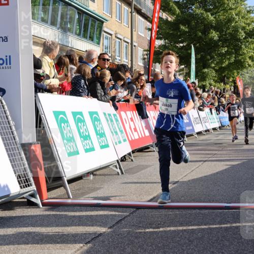 15.09.2024 - PSD Bank Halbmarathon Strokosch-Dieckow http://msf.ph/oto/7068440 15.09.2024 10:27:53 Ziel 8, 27, 28, 37, 73, 101, 103, 122, 125, 159, 204, 249 meine-sportfotos.de