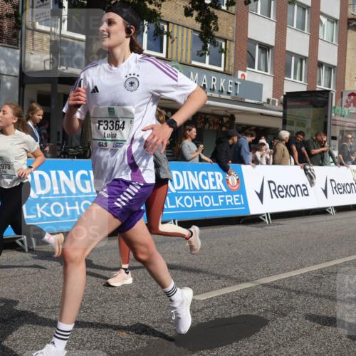 15.09.2024 - PSD Bank Halbmarathon Michael Strokosch http://msf.ph/oto/7068538 15.09.2024 12:05:31 Ziel 2014, 2043, 2095, 2199, 2221, 2515, 2845, 2846, 2955, 2973, 3068, 3294, 3364 meine-sportfotos.de