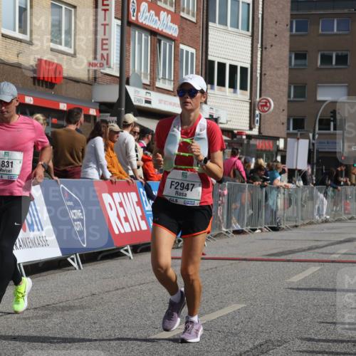 15.09.2024 - PSD Bank Halbmarathon Michael Strokosch http://msf.ph/oto/7068739 15.09.2024 12:06:05 Ziel 1518, 1607, 1821, 1831, 2280, 2804, 2854, 2947, 3115, 3350, 3535 meine-sportfotos.de