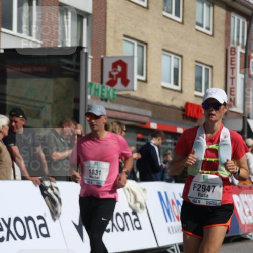 15.09.2024 - PSD Bank Halbmarathon Michael Strokosch http://msf.ph/oto/7068744 15.09.2024 12:06:05 Ziel 1518, 1607, 1821, 1831, 2280, 2804, 2854, 2947, 3115, 3350, 3535 meine-sportfotos.de