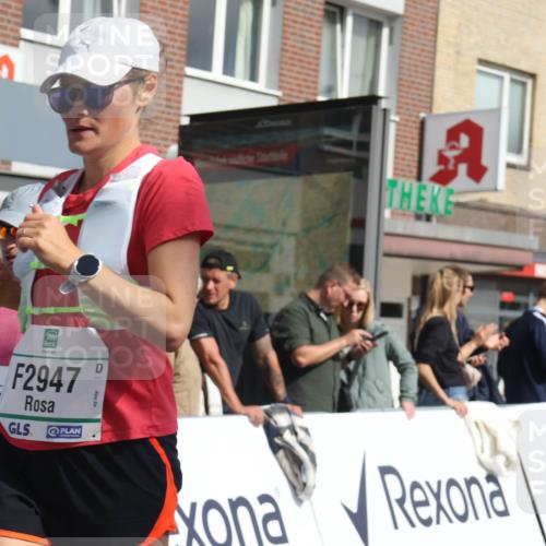 15.09.2024 - PSD Bank Halbmarathon Michael Strokosch http://msf.ph/oto/7068751 15.09.2024 12:06:06 Ziel 1518, 1607, 1821, 1831, 2280, 2804, 2854, 2947, 3115, 3350, 3535 meine-sportfotos.de